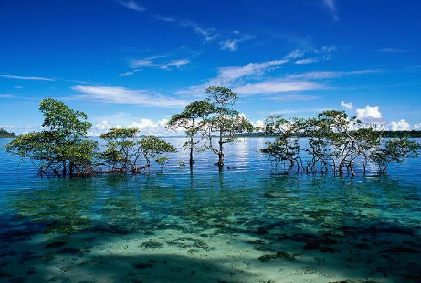 Andaman Island