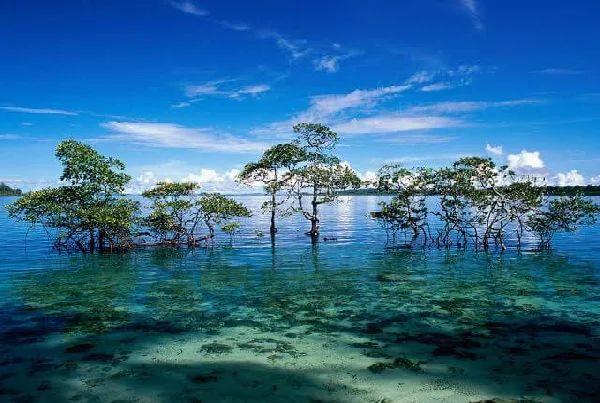 Andaman Island